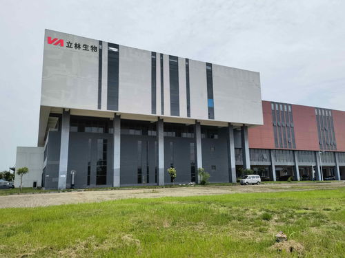 雙品牌戰略驅動，雙廠布局夯實根基 蓋夫內外貿并舉，技術開發引領全球化新篇章